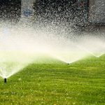 Basic Lawn Maintenance Tips